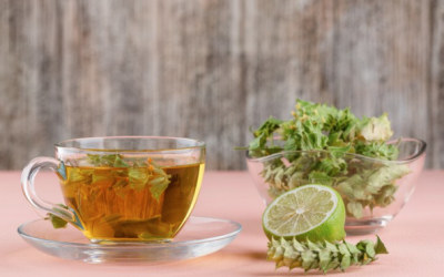 Onde encontrar um atacado de chás e ervas com qualidade garantida?